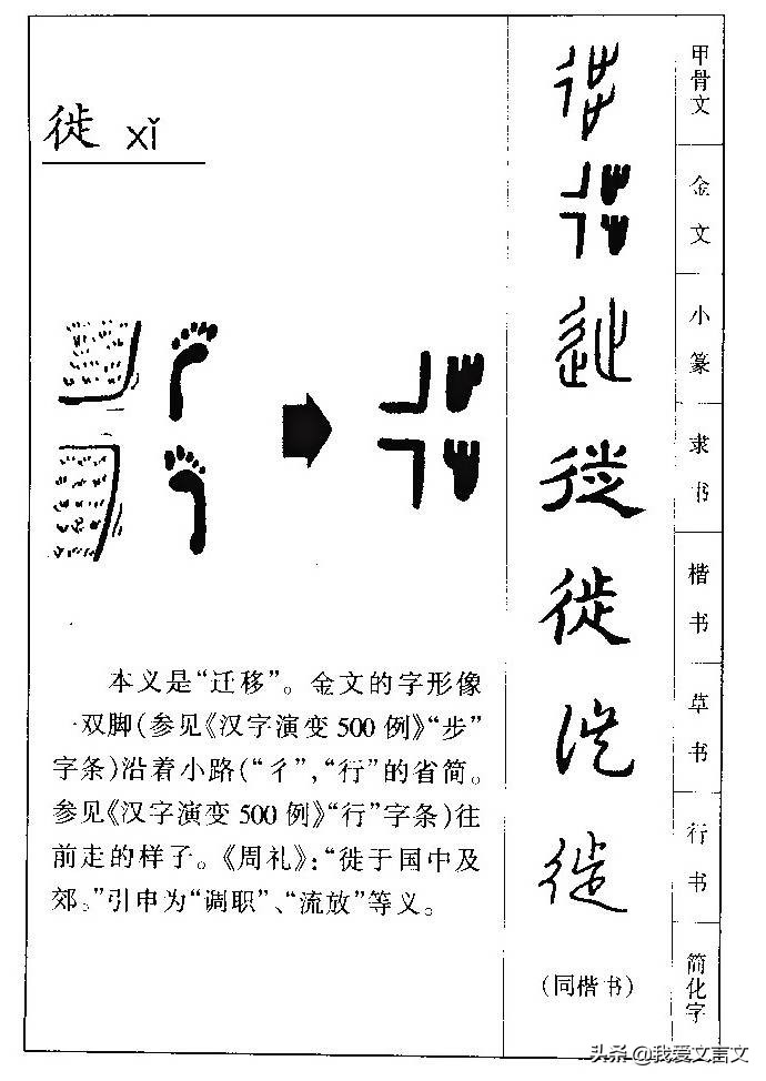 经典文言文解析,卫人迎新妇原文及翻译