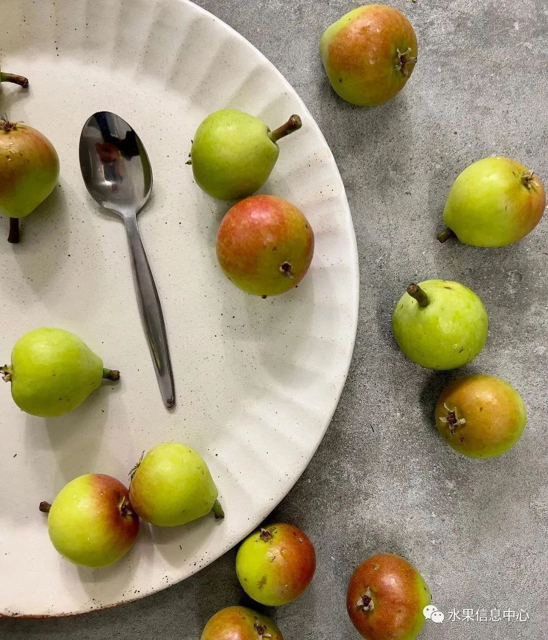 盘点那些迷你的东西,盘点不同样子的水果