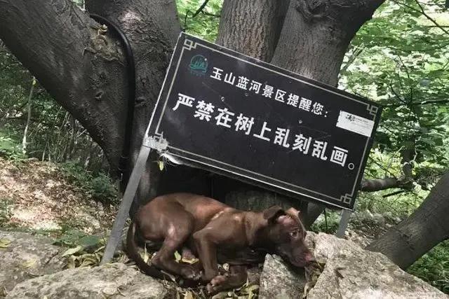 西安一处低调景区,西安隐秘景点