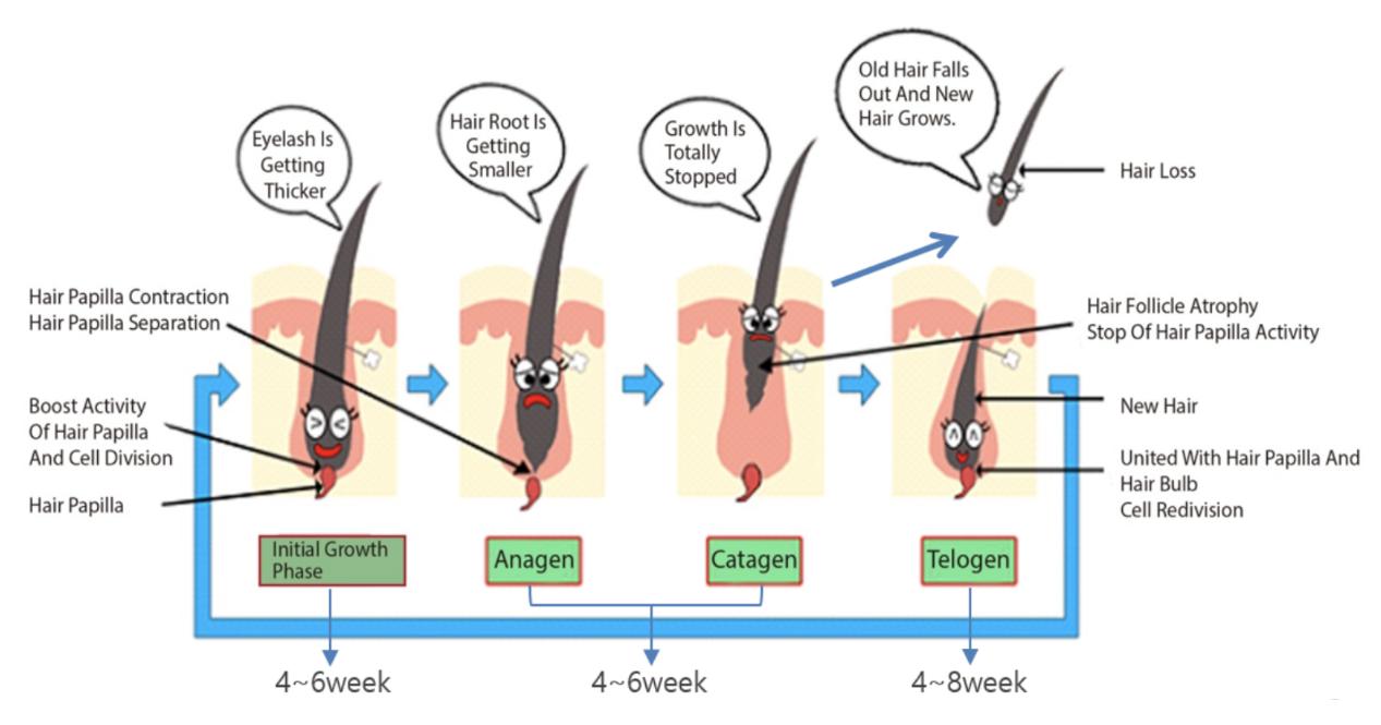 炉甘石洗剂，几块钱一瓶，却能治疗4种常见病，连世卫组织都推荐