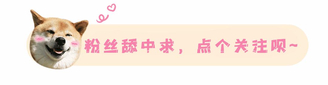 一加ace2手机性价比,手机性能排行榜最新一加ace2