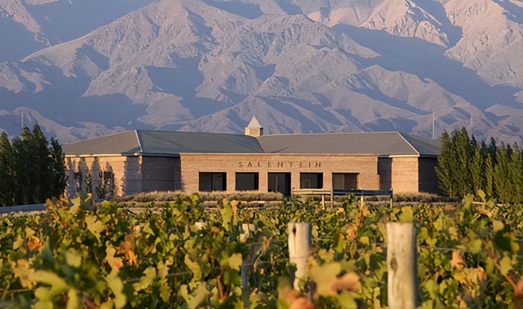 这些全球精酿啤酒你见过吗,这些意大利白葡萄酒你都喝过了吗