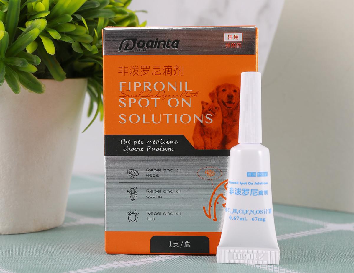 养柯利犬,养柯基最大的忌讳