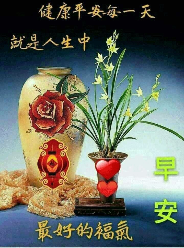 适合早上开心的朋友圈图片,早晨好图片最新朋友圈