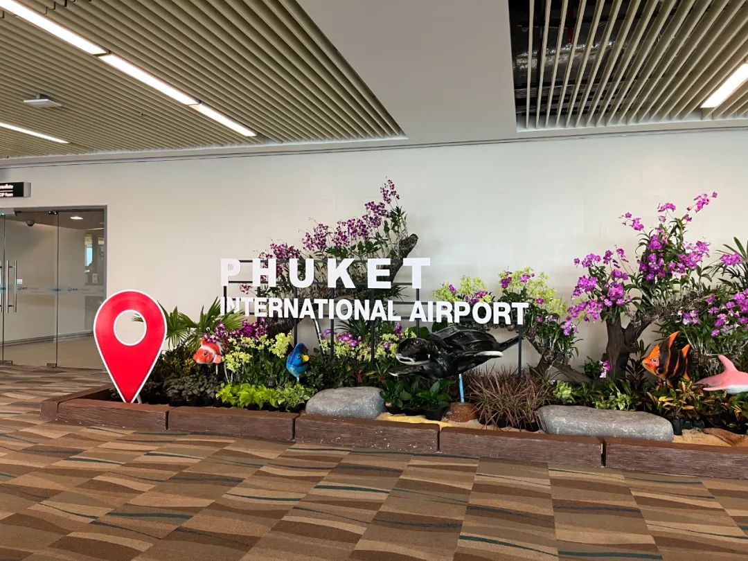 风口之下，我去了泰国：腰子安全，钱包轻伤，心弄丢了