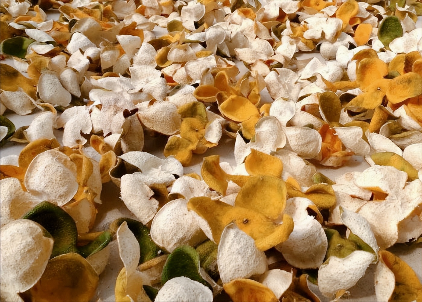 今天你晒了吗粤语,今天你打脸了吗