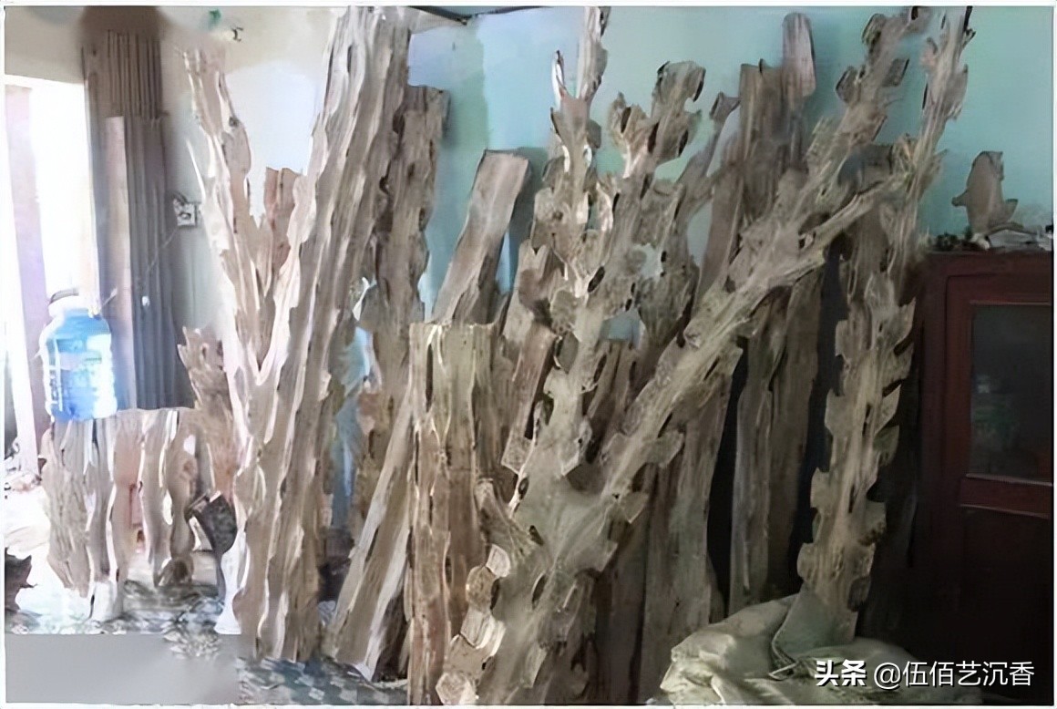 沉香造假最新视频,沉香造假的手法