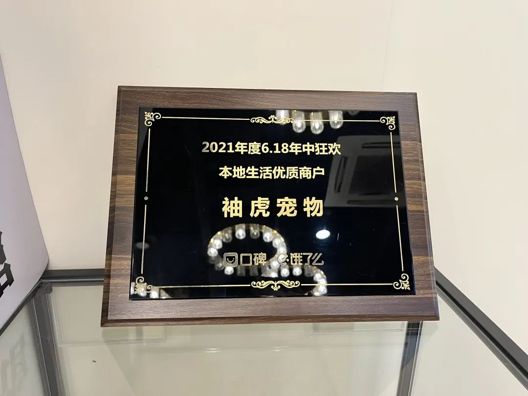 袖虎宠物店 (袖虎猫馆开店)