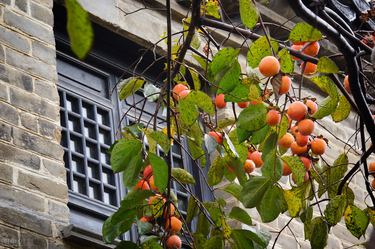 #庆云禅寺#大宋驸马#民间故事#状元才子#皇宫#泰州#季三鞑子