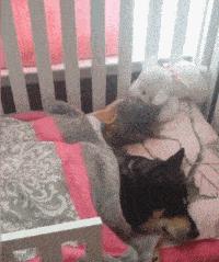 女朋友发来照片说刚运动完什么梗,女朋友发照片说刚运动完