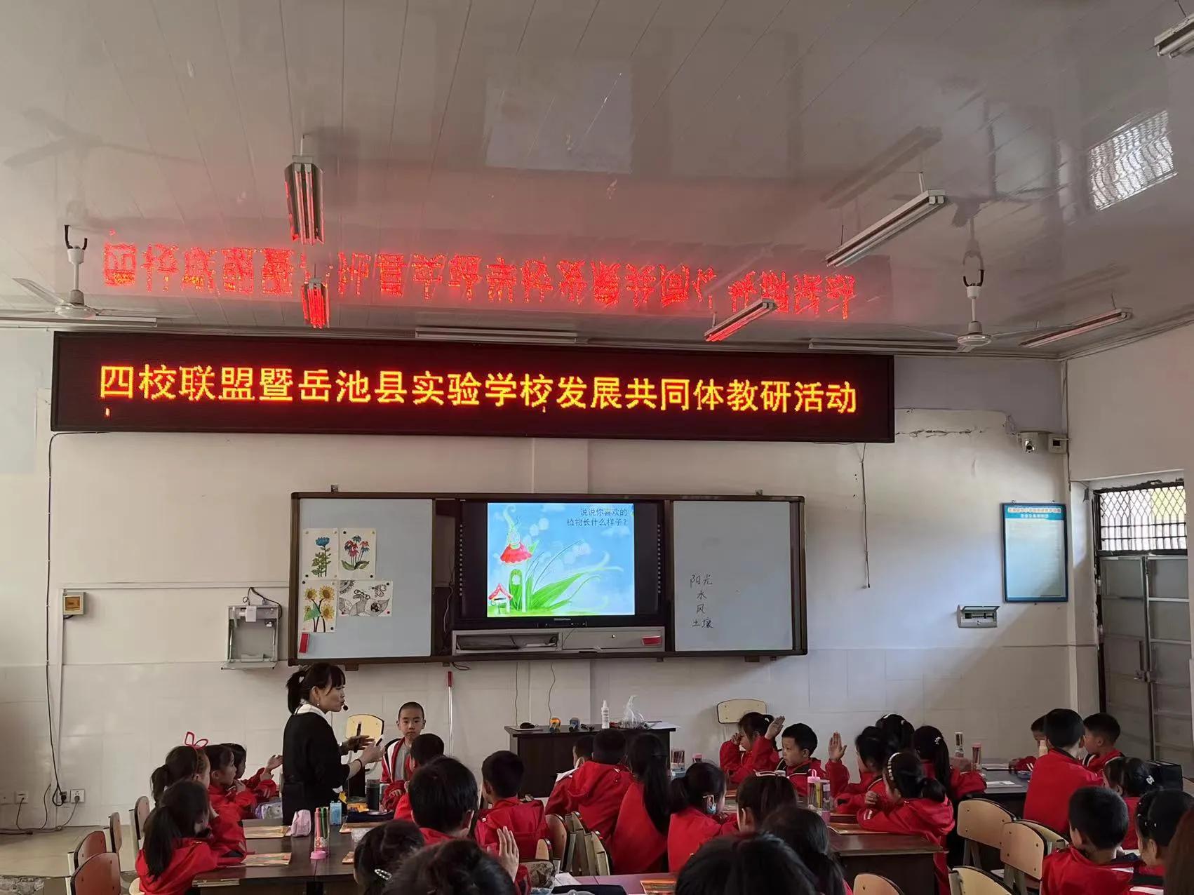 岳池实验学校发展共同体同课异构“画”交流，特色教育促“双减”