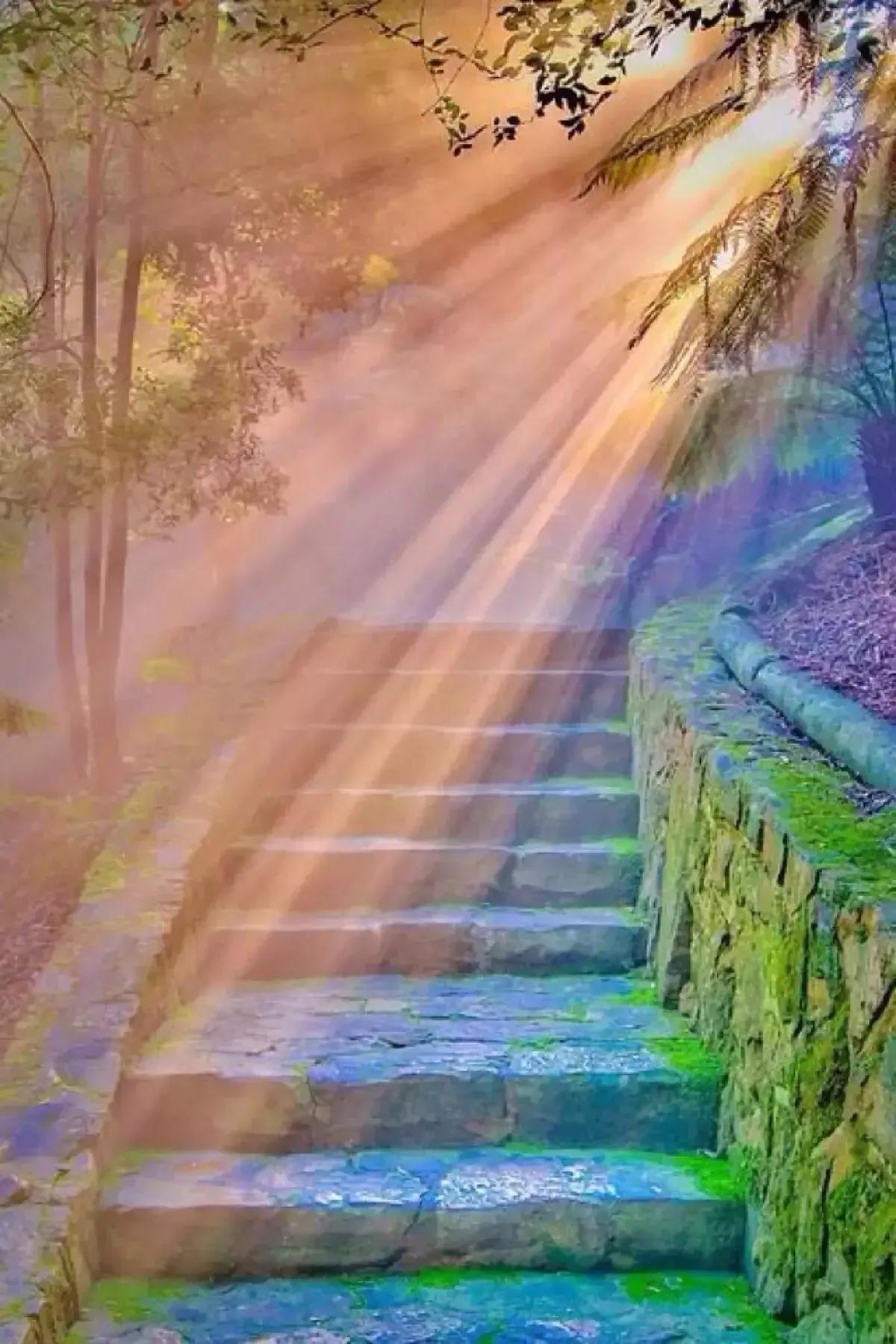 瑜伽怎么练收入高,不会瑜伽的去学瑜伽有工资吗