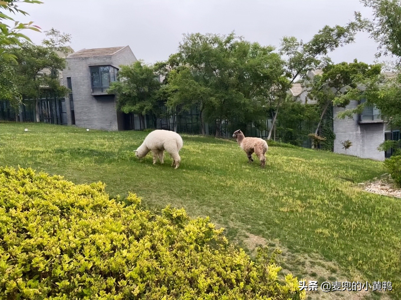 感受南京的艺术风格美食分享,中式情调南京美食