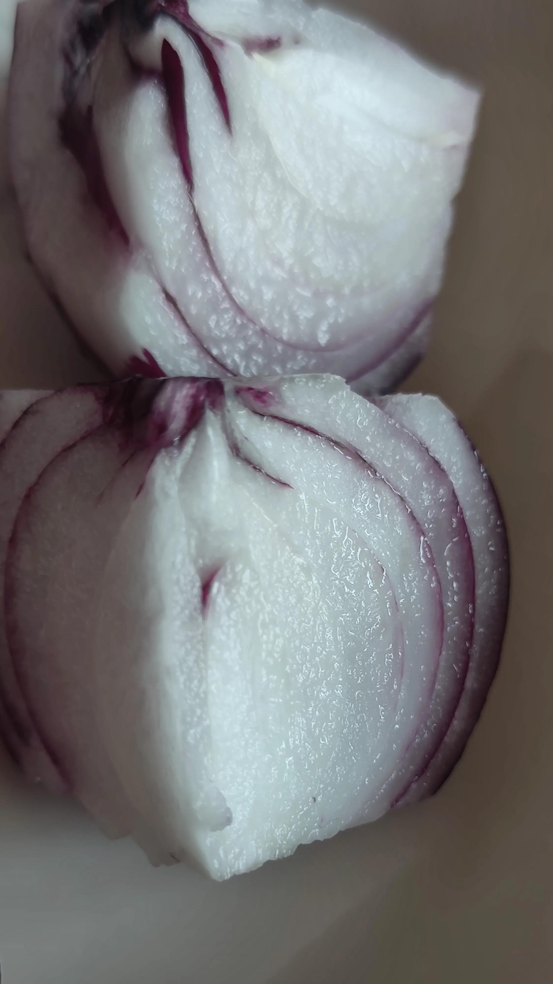 言即肉身日用即道,言即肉身还是言及肉身