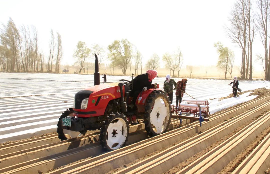 【旗县动态】奈曼旗、开鲁县、库伦旗