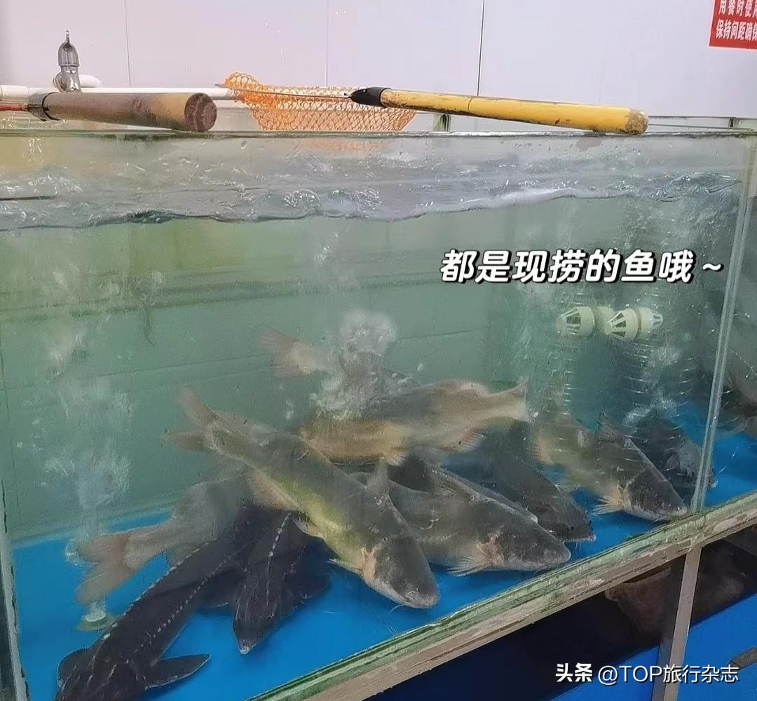 长沙十大必吃苍蝇馆子,长沙地道湘菜苍蝇馆子