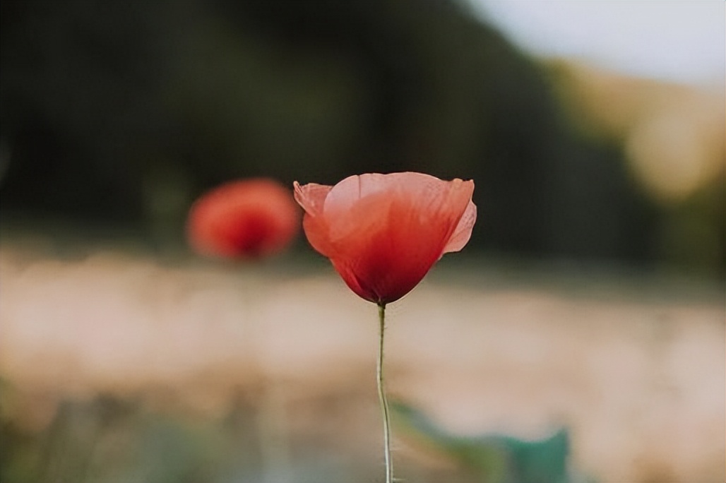 不管是夫妻还是情人不主动联系,对付情人不主动联系你的方法