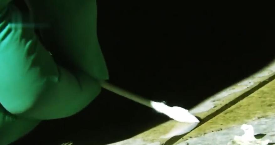 一家三口吃馄饨丧命,天津一家四口吃饺子死亡