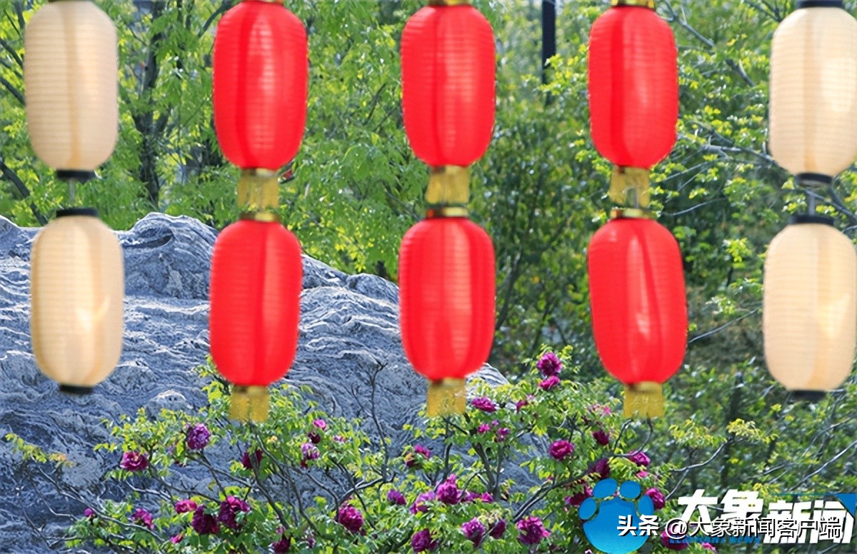 花开时节动京城最美不过洛阳城,花开时节动京城洛阳