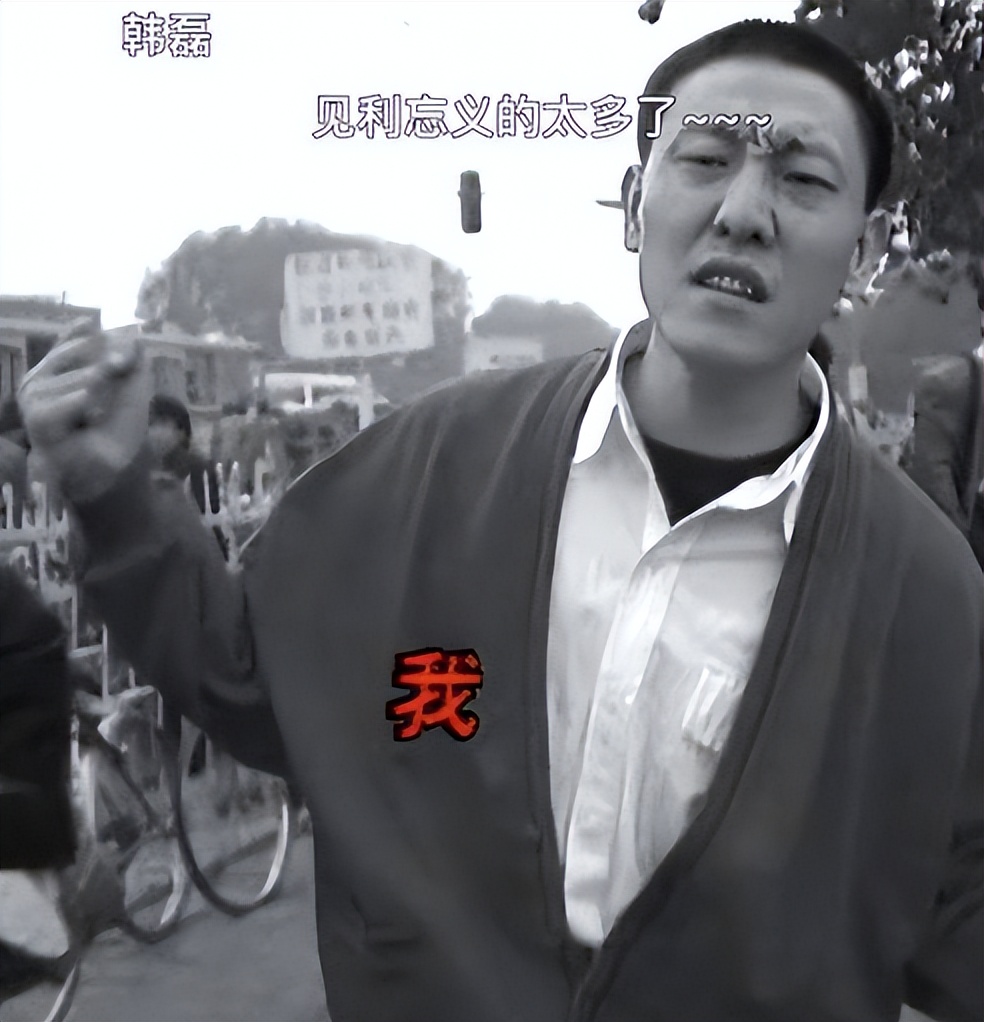 王燕和她丈夫韩磊,韩磊终达所愿完整版