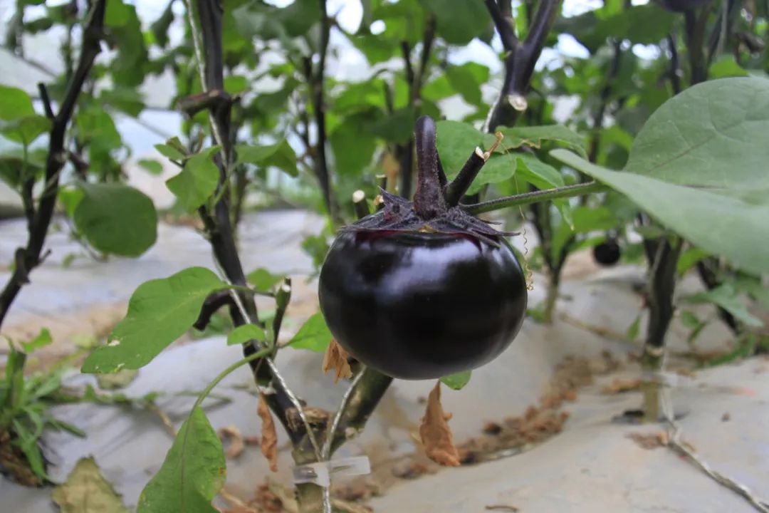 白银生态美景,白银大地山水