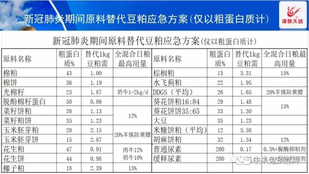 养牛花生饼可以替代豆粕吗,豆粕上涨为何如此疯狂