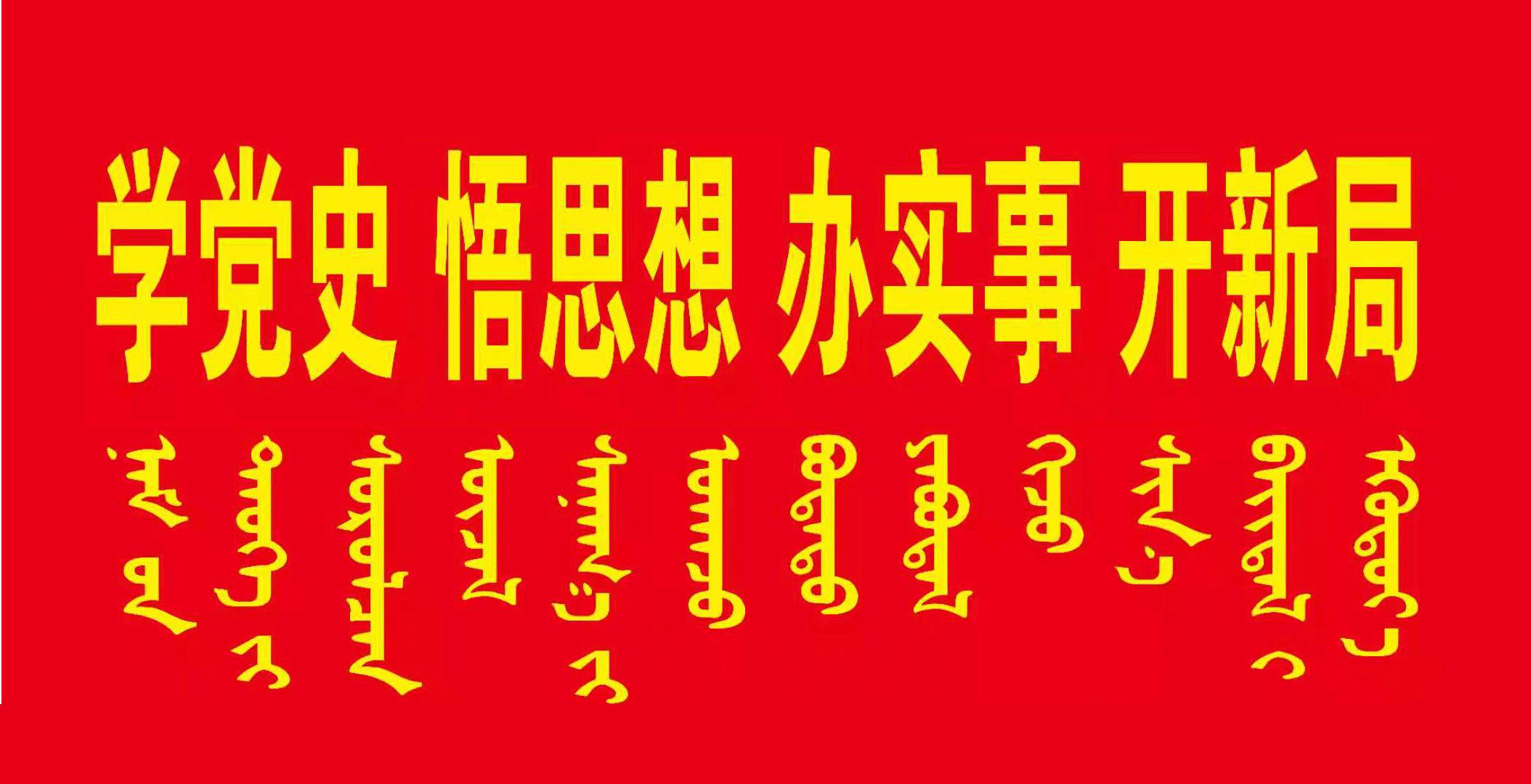 街道党建网格化治理方案,党建引领全科网格基层治理