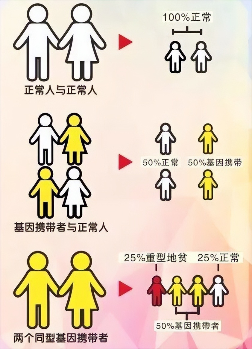 母亲地贫基因没突变是什么型地贫,不同型的地贫生出地贫宝宝几率