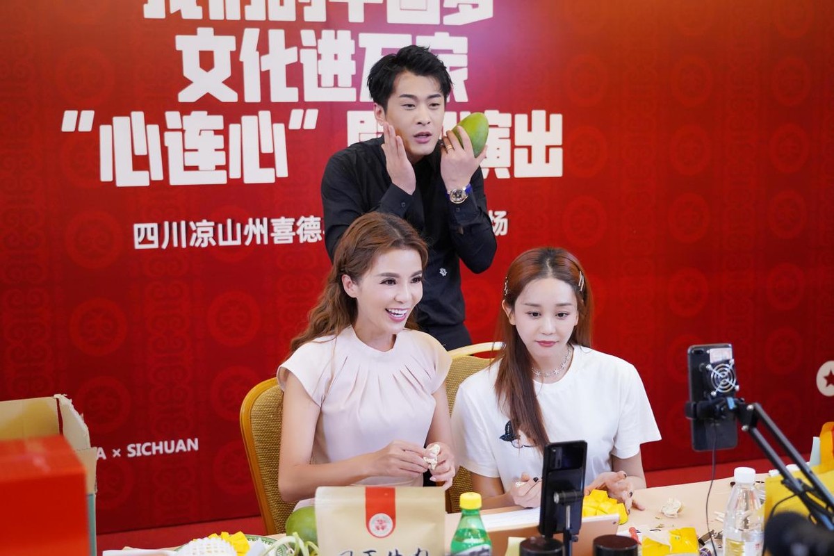 辛巴利用辛选集团的供应链优势，扶贫助农乡村振兴项目