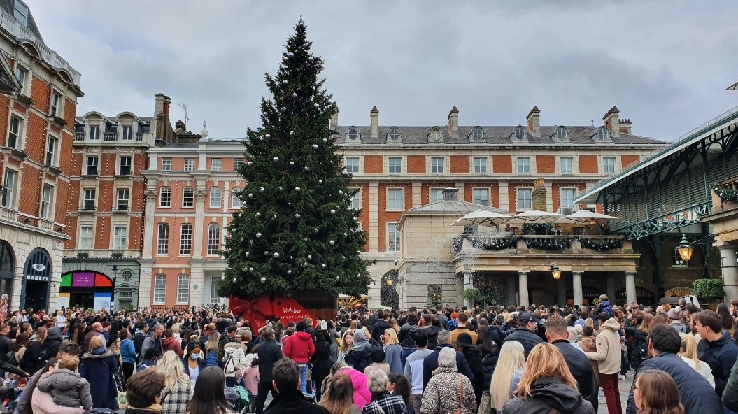 挪威给英国的圣诞树被吐槽,挪威英国圣诞树