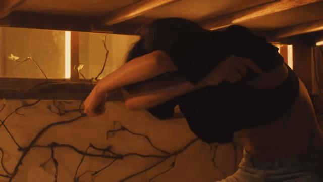 小狼狗遇到姐姐,小狼狗遇上御姐