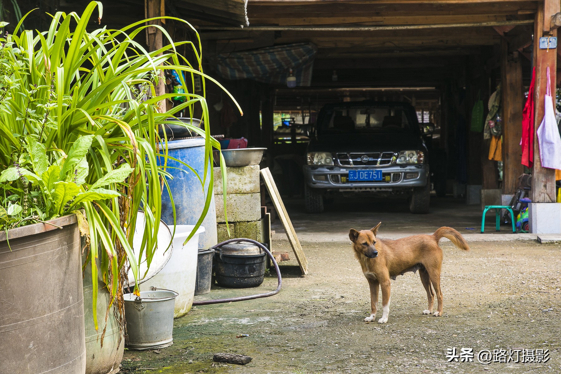 普洱与昆明谁更适合养老,普洱和弥勒哪个更适合养老居住