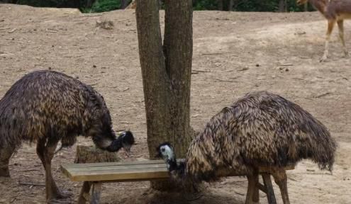 英国德比郡旅游攻略图,世界旅游足迹打卡地图