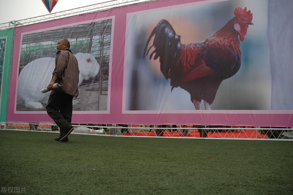 兽药阿莫西林使用说明书,兽药硫酸粘杆菌素用量