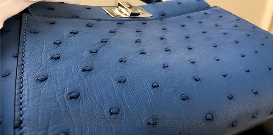 鸵鸟利润这么大为啥养的人不多,中国大型鸵鸟