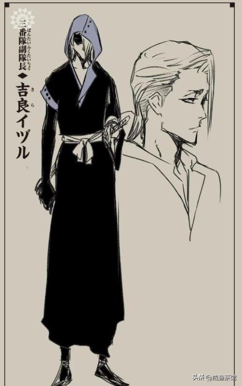 死神bleach副队长卍解合集,死神bleach护庭十番队副队长