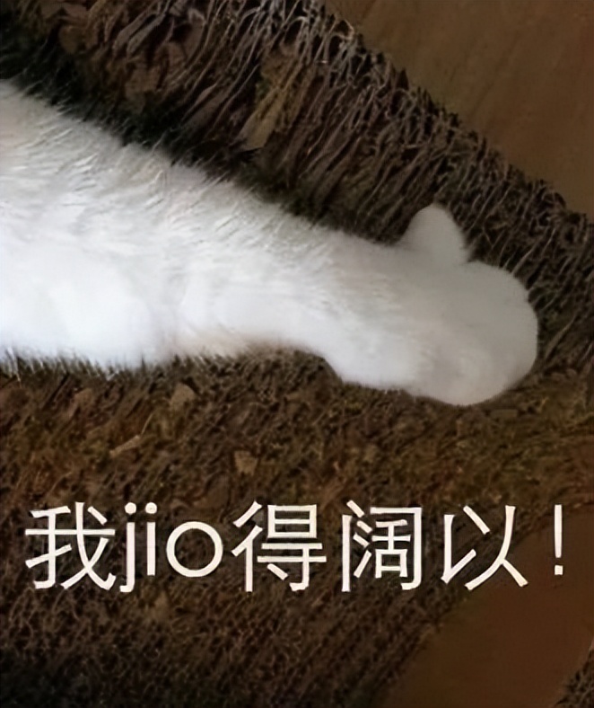 不要钱的steam游戏联机,全部不要钱的游戏