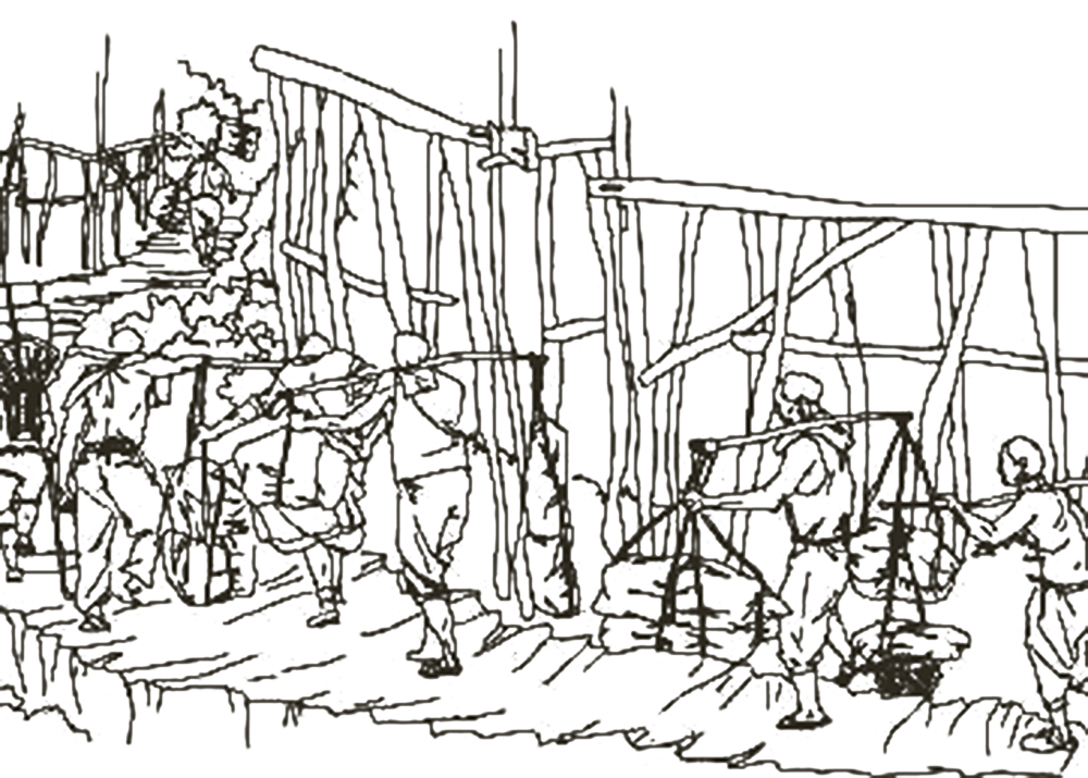 金银岛主要内容,金银岛电影解说