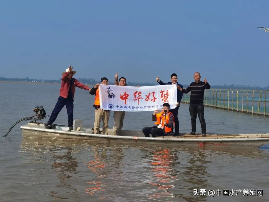 阳澄湖大闸蟹路线图,去阳澄湖大闸蟹攻略路线