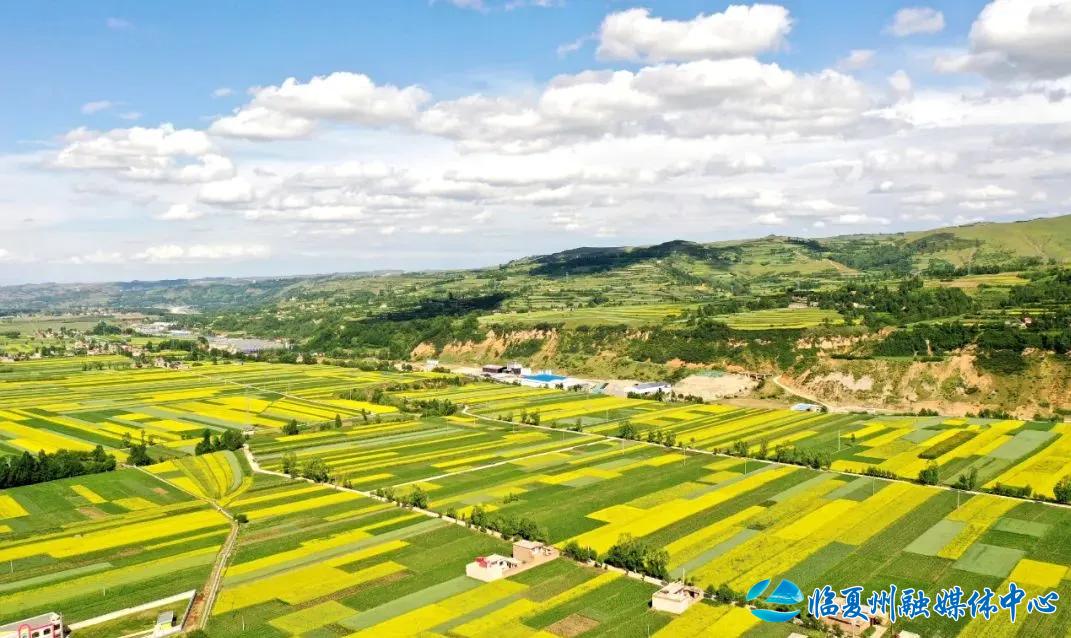 2024骞村宸磋兒閰嶈壊,缁胯壊鐨勫宸磋兒閰嶈壊