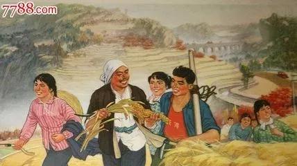 我们的知青岁月——在下乡插队的日子里（一）