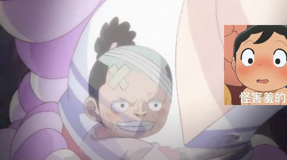 海贼王1021-1071全免看,海贼王1021集解说