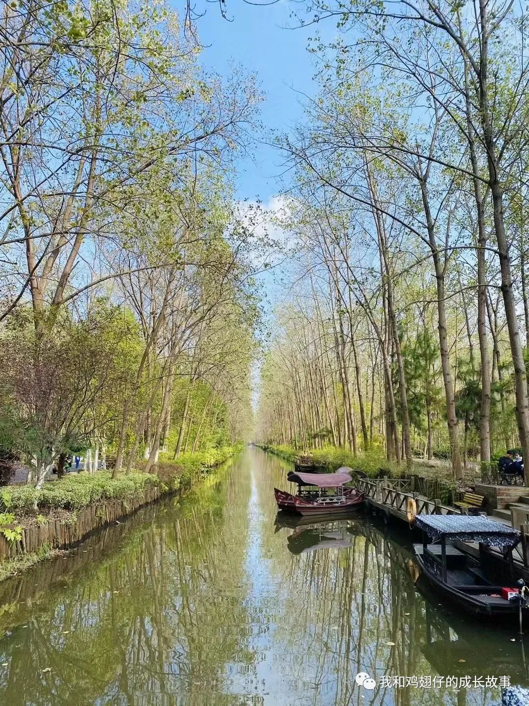 爱美丽推荐城市公园打卡第89-合肥游玩，必去10大经典打卡地推荐