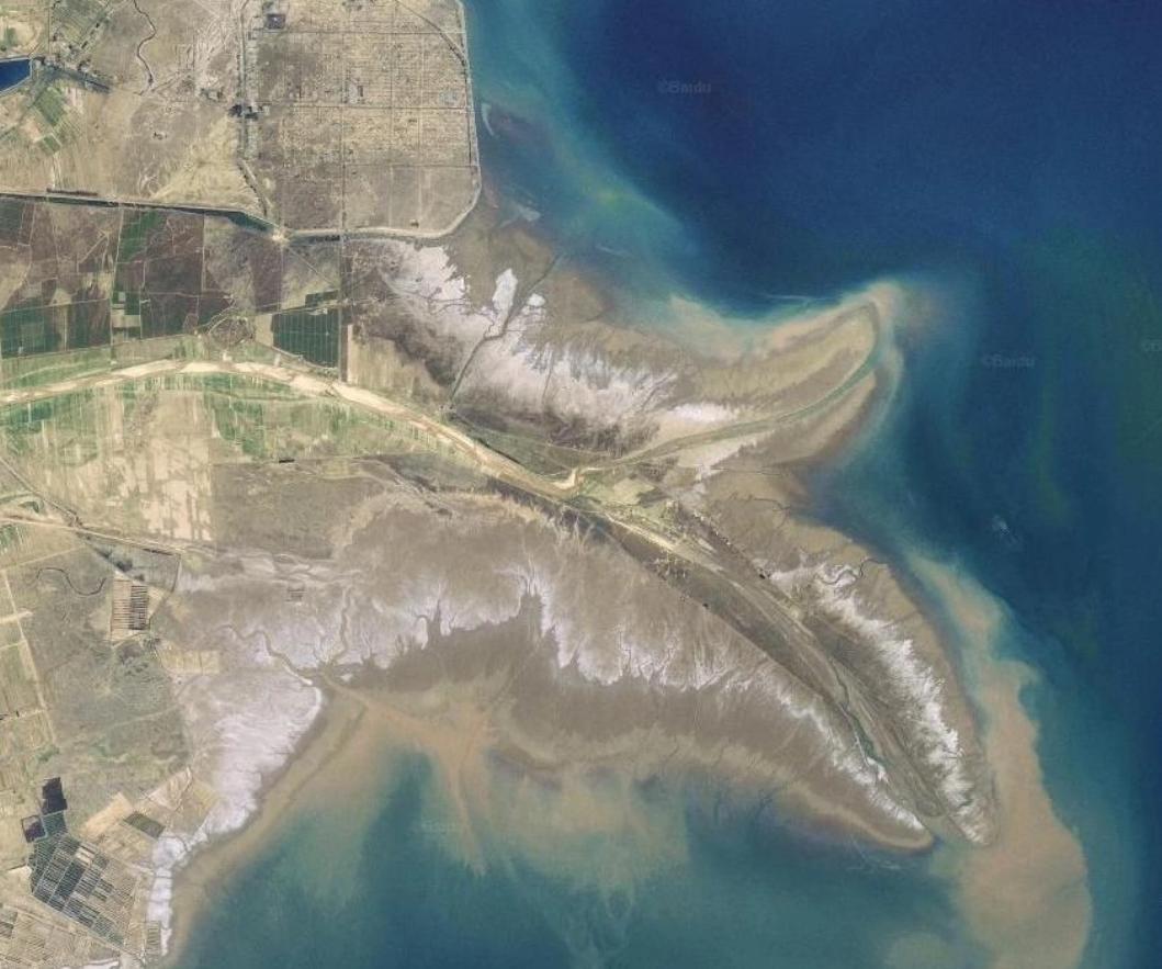 含沙量最大的是黄河的哪,黄河含沙量从哪里开始急剧增加