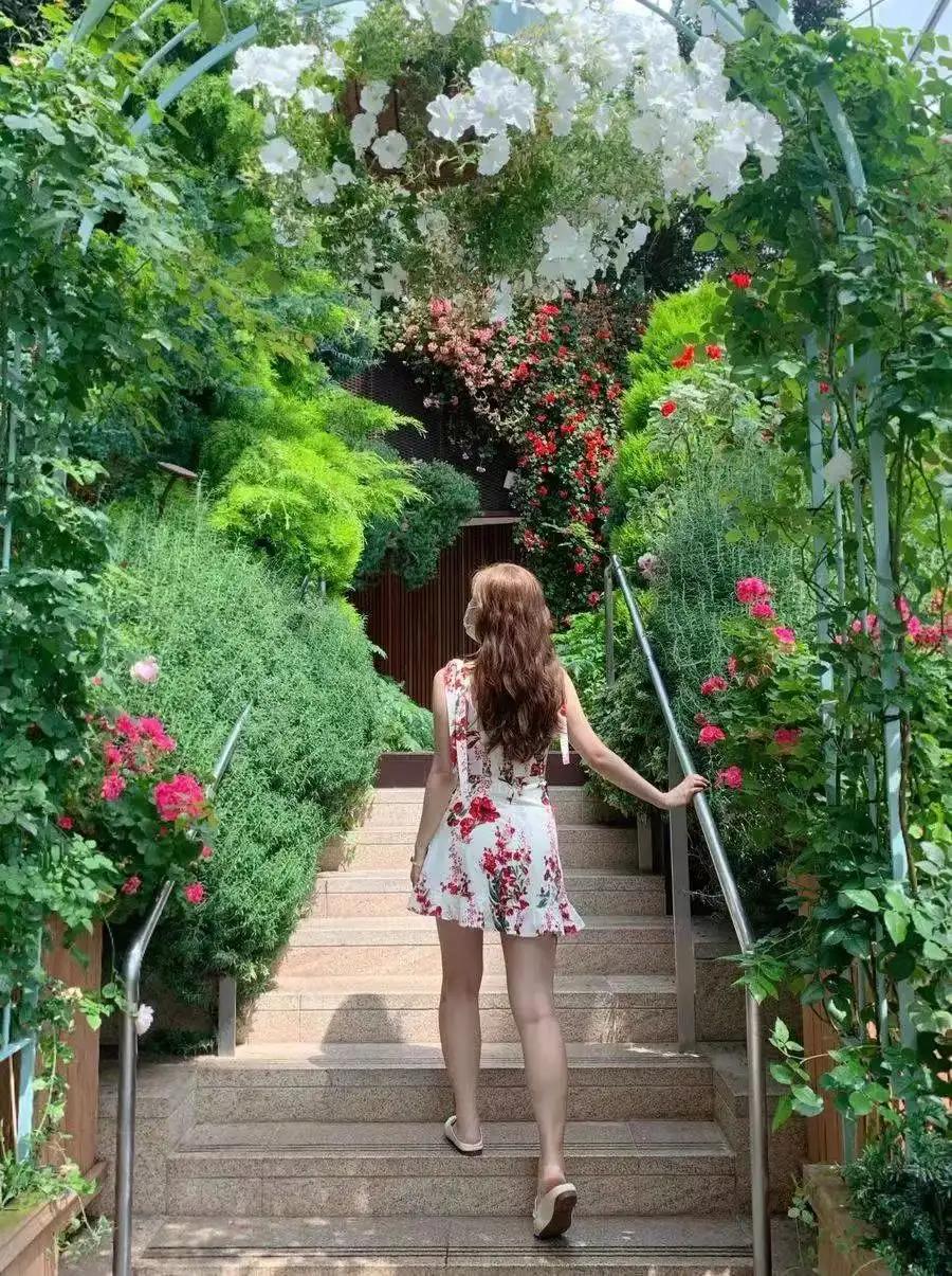 泰国丽贝岛攻略,泰国小众海岛丽贝岛