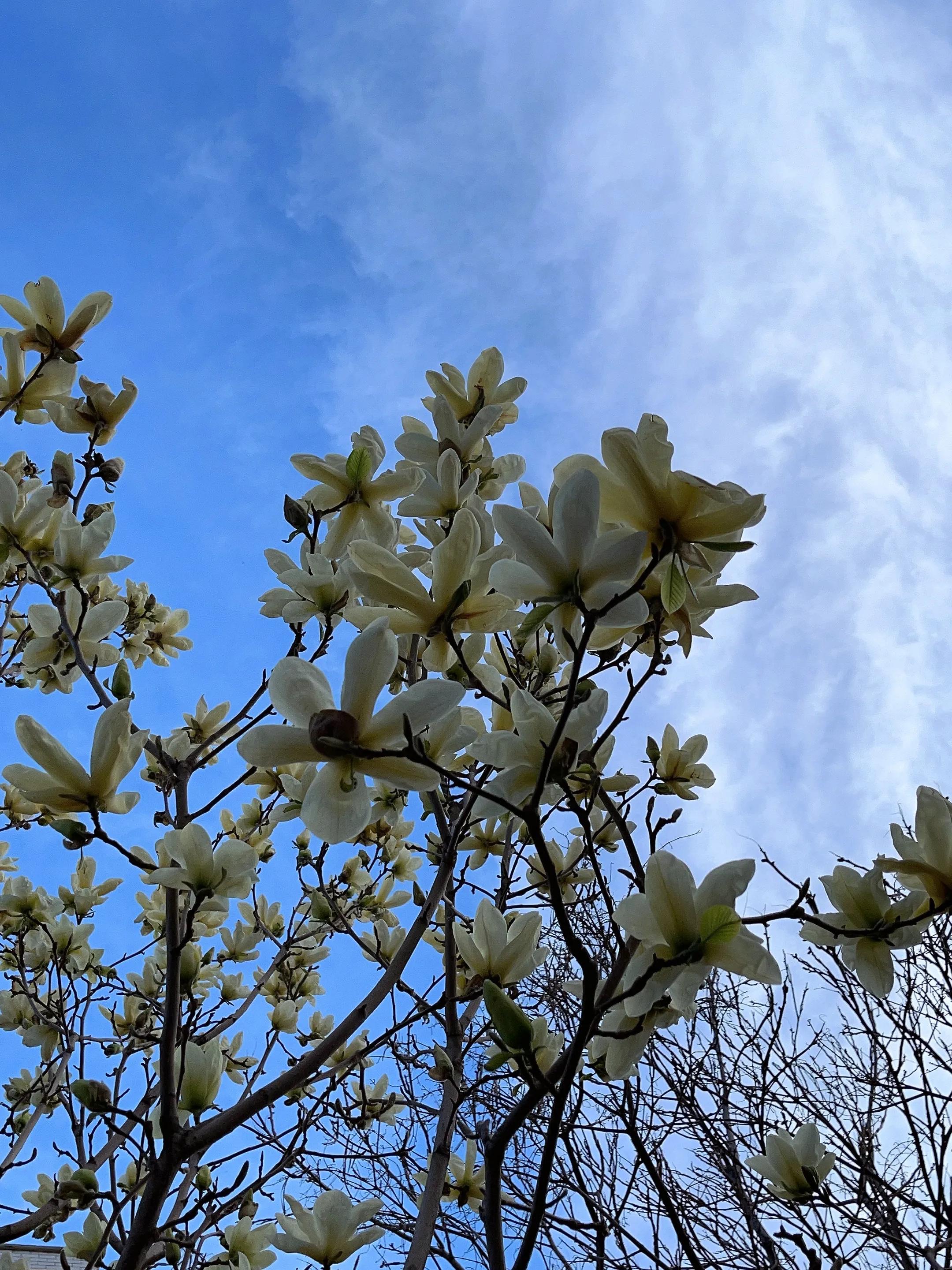世界读书日快乐朗读,世界读书日快乐阅读幸福成长