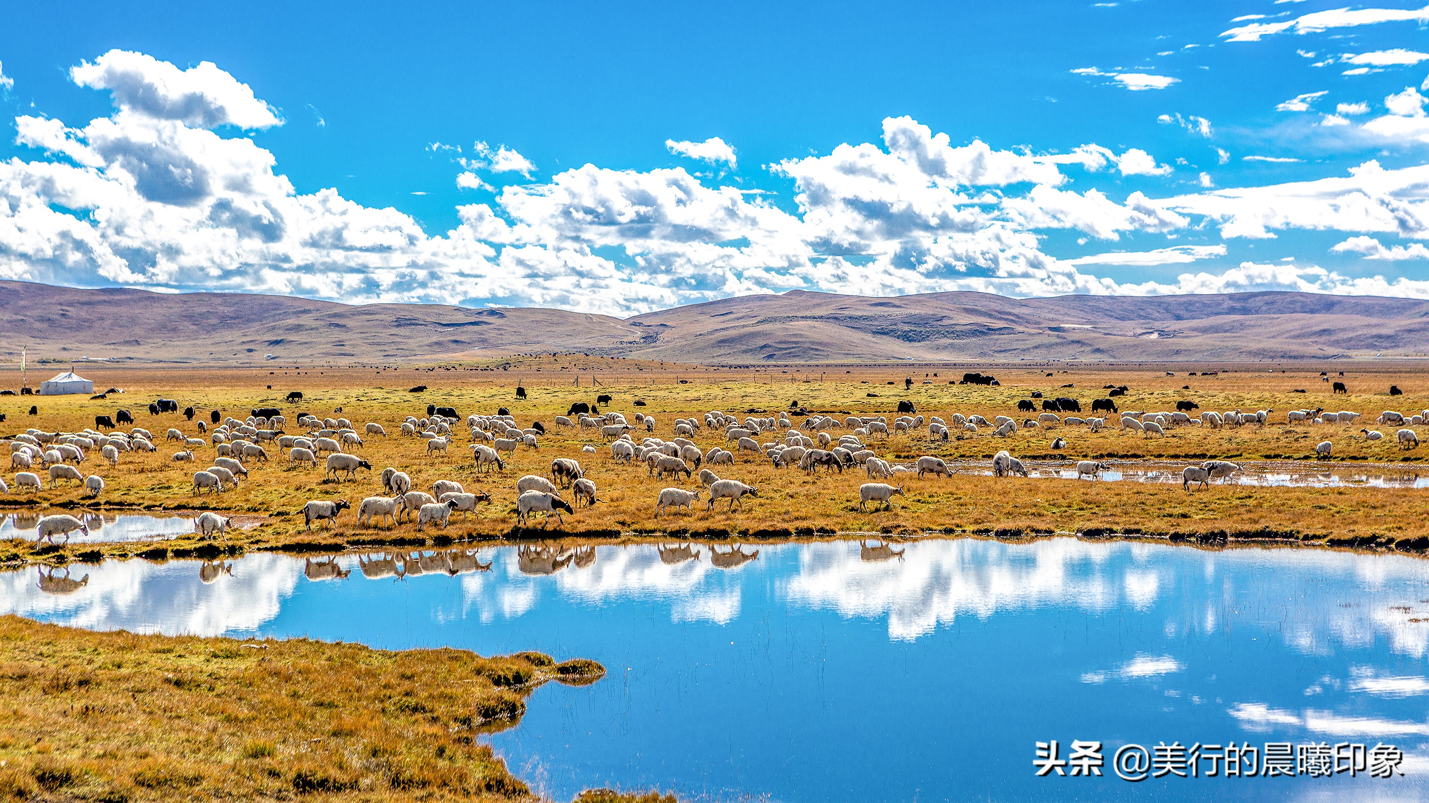 西部自驾三十三天(三十四)——川西高原的绿洲,若尔盖草原