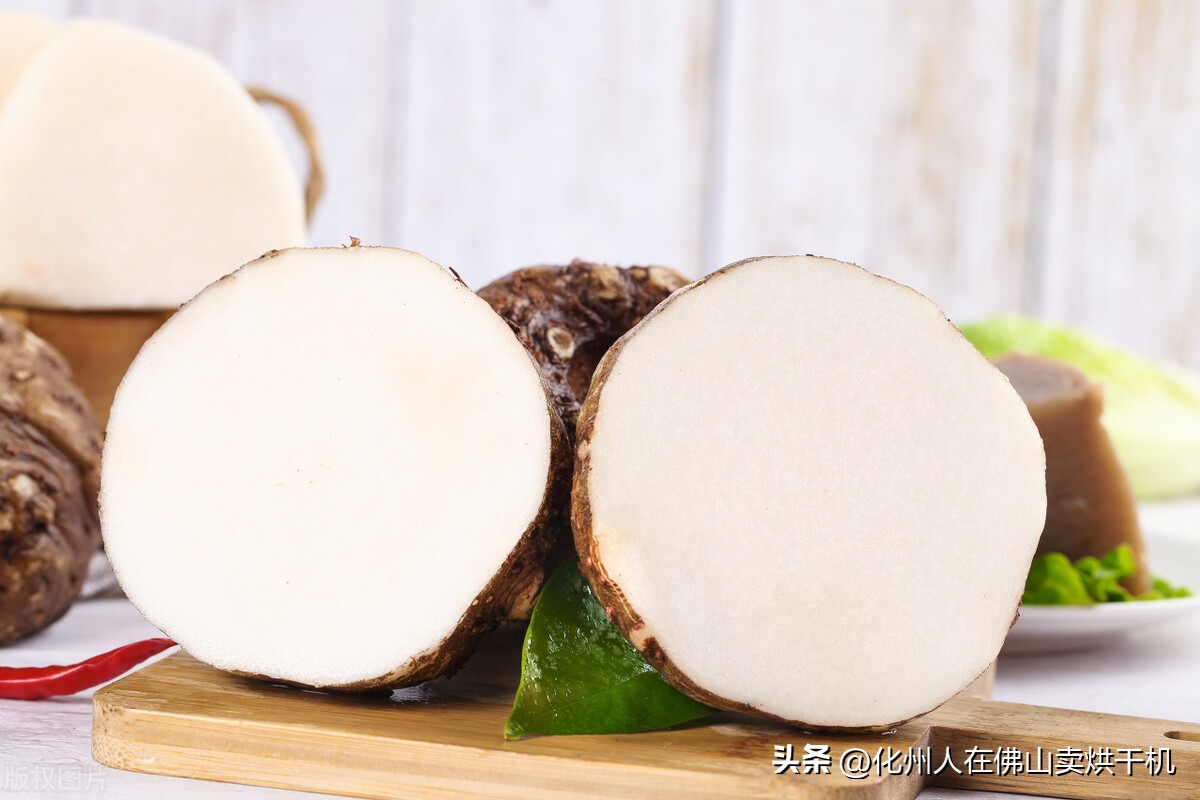 魔芋高温烘干方法视频教学,网红魔芋是什么做的