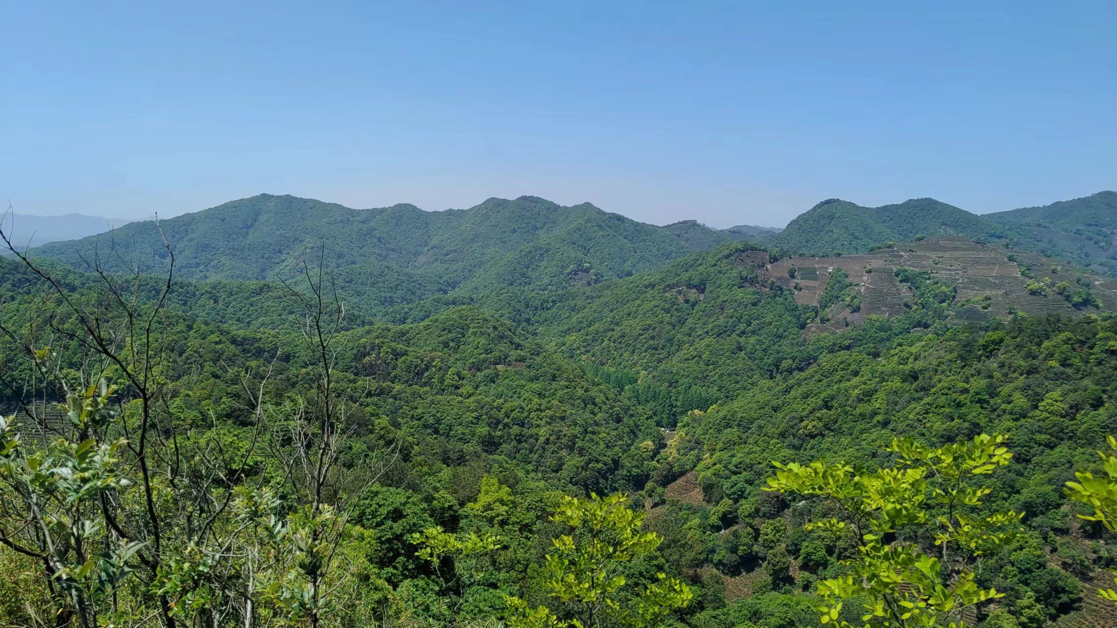 vivoiqooz6自拍效果,vivoiqooz6手机怎么拍照好