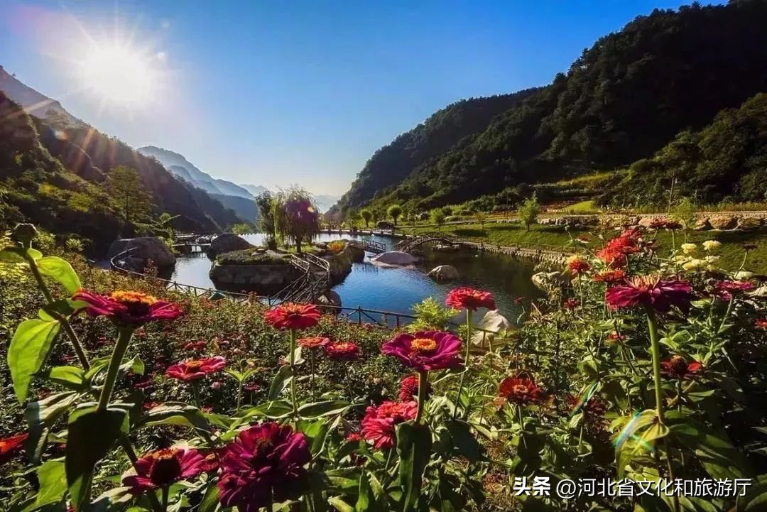 漫山漫水漫生活2019,漫山慢生活大山深处的桃花源